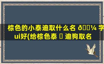 棕色的小泰迪取什么名 🐼 字zui
好(给棕色泰 ☘ 迪狗取名字的方法)